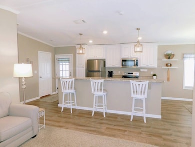 34806 Blue Starling St, Zephyrhills, FL 33541 - photo 3