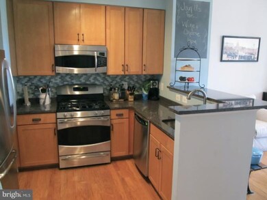 Elan East Market Condominiums unit 212, Fairfax, VA 22033 - photo 4