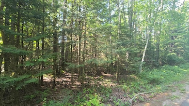 2 Lots Timber Lodge Rd, Rhinelander, WI 54501 - photo 4