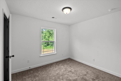 517 Molly Parker Ln, Spartanburg, SC 29301 - photo 5