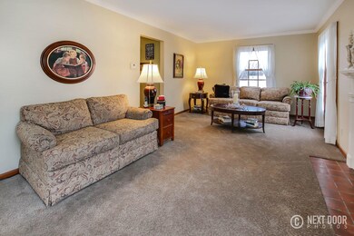 IMG_4646_blended