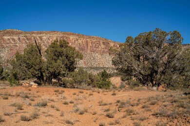 0 Tbd unit 42825, Paradox, CO 81429 - photo 3