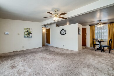 Living Room into Dining