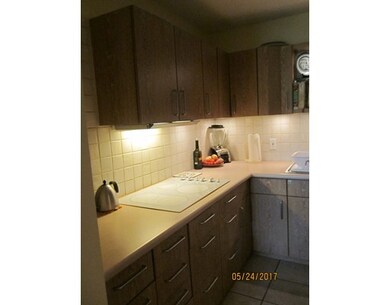 24 Bradbury St unit B, Cambridge, MA 02138 - photo 4