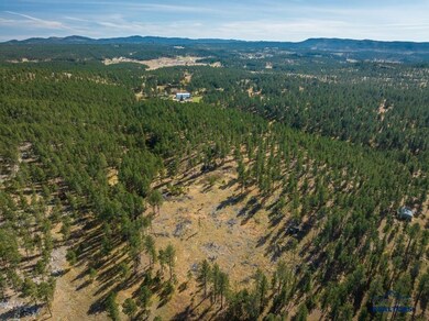 TBD Wind Dance Rd unit TBD Wind Dance Ranch, Custer, SD 57730 - photo 5