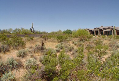 LOT 19 FROM SOUTH TO NORTH ACROSS THE LO