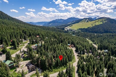 16 Ober Strasse, Snoqualmie Pass, WA 98068 - photo 7