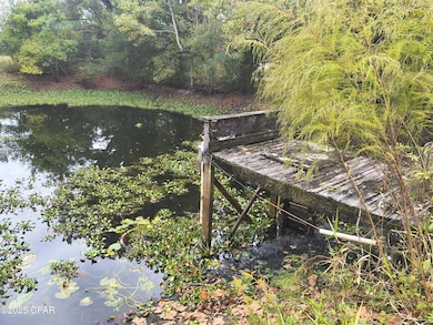 2611 Holmes Creek Rd, Vernon, FL 32462 - photo 6