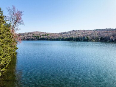 00 W Lake Rd unit 13 & 14, Wilmington, VT 05363 - photo 5