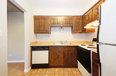 17975 Amherst Ct unit 102, Country Club Hills, IL 60478 - photo 6