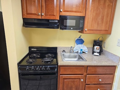 Kitchen with black appliances, under cabinet range hood, a sink, and light countertops