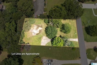 521 13th St SW, Alabaster, AL 35007 - photo 6