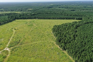 878 Joe Hudson Rd, Trinity, TX 75862 - photo 6