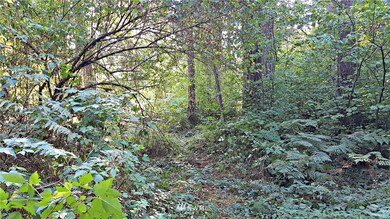 0 128th Ave E unit 1195099, Graham, WA 98338 - photo 2