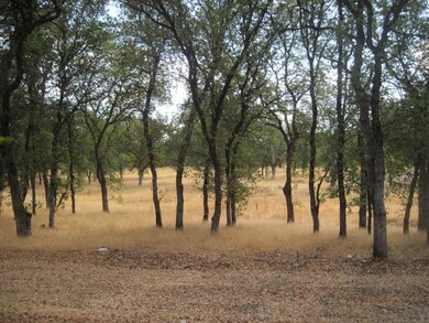 043-745737 - Back Yard