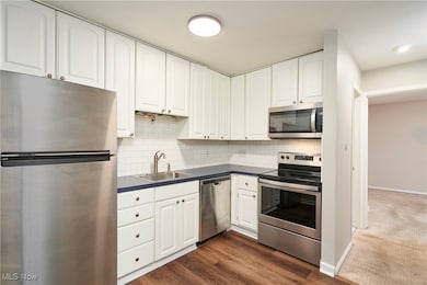 10744 Valley View Rd unit B13, Northfield, OH 44067 - photo 6