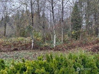 0 208th Place NE, Union Hill-Novelty Hill, WA 98077 - photo 2