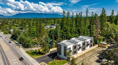 Drone / aerial view of a mountainous background and a forest