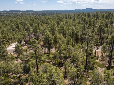 1870 S Pleasant View Dr unit 429, Show Low, AZ 85901 - photo 3