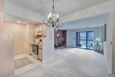 103 Turtle Creek Rd unit 5, Charlottesville, VA 22901 - photo 5