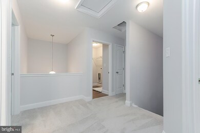 234 Speaks Ln, Harpers Ferry, WV 25425 - photo 7