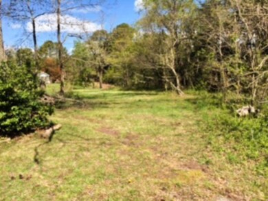 Lot View