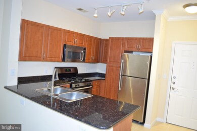 Bryson At Woodland Park unit 206, Herndon, VA 20171 - photo 4