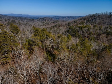 4.78 Ac Bell Ct, Ranger, GA 30701 - photo 6