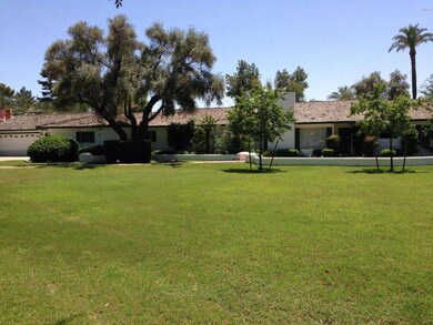 Front yard2