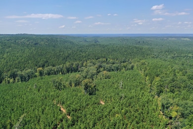 0 Old Windmill Rd unit 24711444, Ridgeway, SC 29130 - photo 6