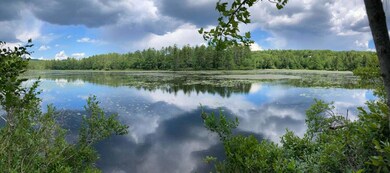 27A-8B Wild Haven Rd, Bridgton, ME 04009 - photo 6