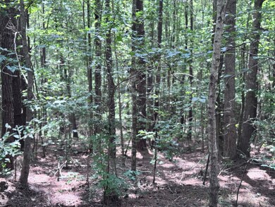 00 Abby Ln, Lumberton, MS 39455 - photo 6