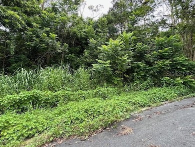 0 Campo Nuevo-Azucena 2 unit MFRPR9111923, Vega Alta, PR 00692 - photo 2