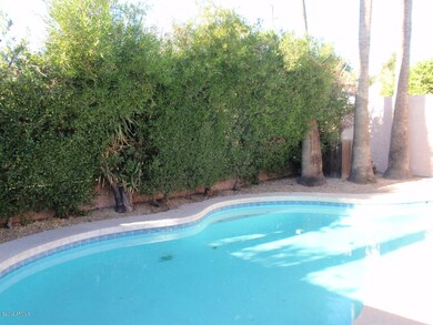 pool and back yard