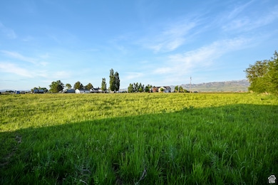 545 N 1600 W, Lewiston, UT 84320 - photo 5