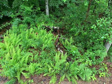 12 Snell Rd, Meredith, NH 03253 - photo 5