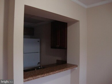 9566 Shenandoah Dr unit 9566, New Market, VA 22844 - photo 4