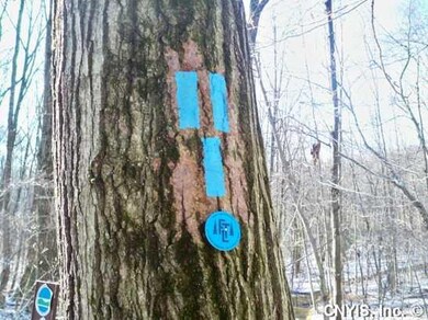 Land Near Finger Lakes trail