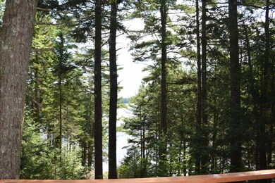 Out Over the Water from the Deck