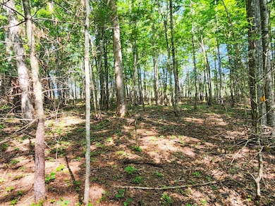 0 Helenwood Loop Rd unit 11545855, Helenwood, TN 37755 - photo 6