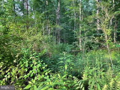 0 Meander Run Rd unit VAMA2001268, Locust Dale, VA 22948 - photo 7