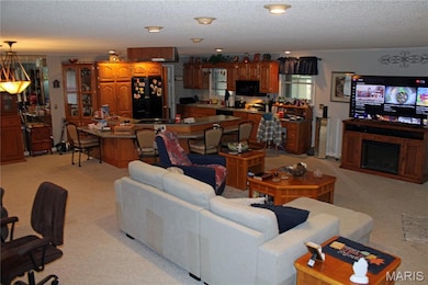 3905 Missouri 21, Doniphan, MO 63935 - photo 3