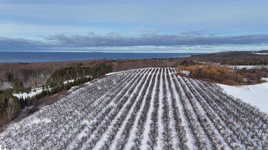 0 N Manitou Trail unit 1941216, Northport, MI 49670 - photo 5