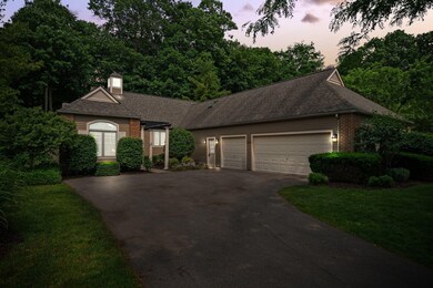 85-web-or-mls-DSC01415