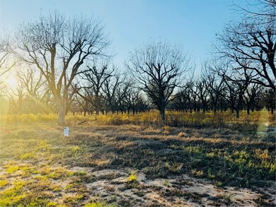 2519 Buckskin Dr, Granbury, TX 76049 - photo 4