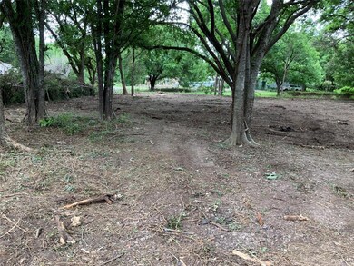 TBD Comanche Trail, Weatherford, TX 76087 - photo 6