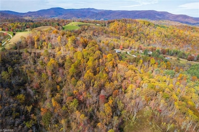 TBD 1 Mayito Ln, Mouth of Wilson, VA 24363 - photo 6