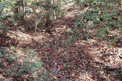 0 Wilderness Ridge unit 3806257, Rutherfordton, NC 28139 - photo 7