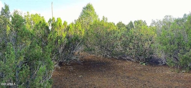 image000004-1
