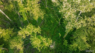 View of property location with a forest